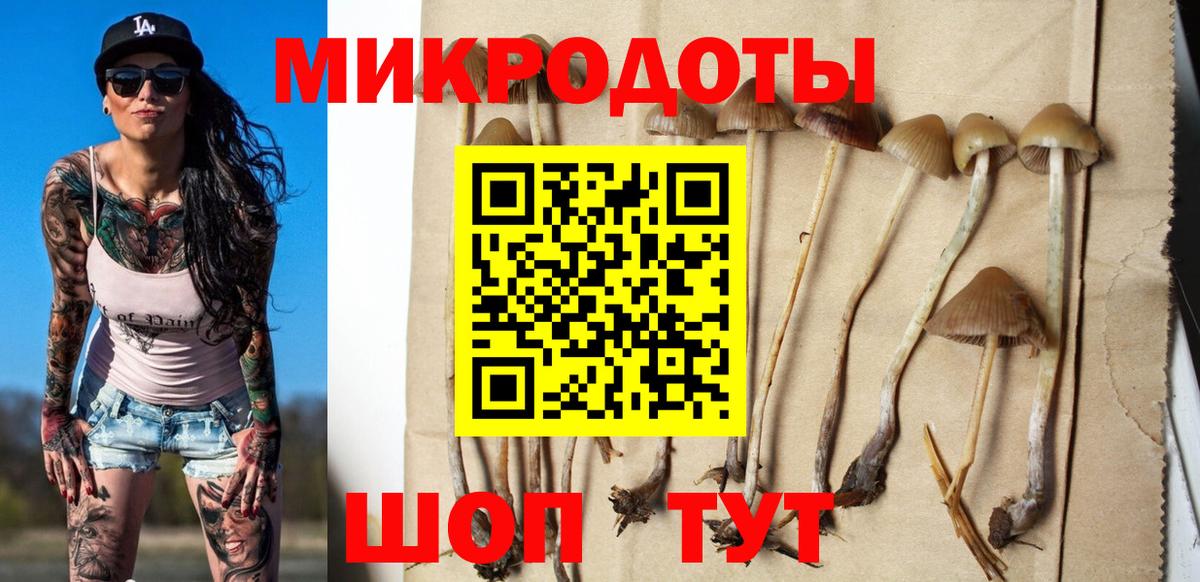 Галлюциногенные грибы Psilocybine cubensis  наркота  Строитель  Вход с VPN 